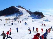 【滑雪季】海阳林山滑雪＋白鹭湖温泉两日游