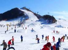 海阳林山滑雪一日游