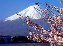 嘉华旅游---日本本州六日游(全日空，青岛起止，不走回头路，LX）