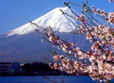 嘉华旅游---日本本州高品质双飞六日（东航，烟台起止，GL）