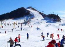 嘉华旅游~海阳林山滑雪场一日游